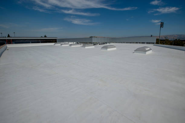 Best Roof Waterproofing  in Franklin, KY